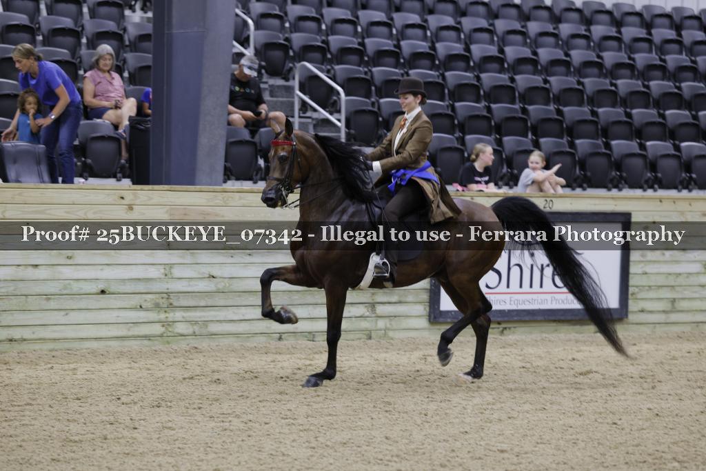 Proof Number 25BUCKEYE_07342
