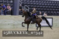 25BUCKEYE_07342 thumbnail