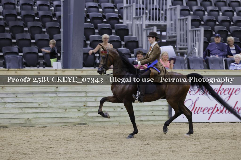 Proof Number 25BUCKEYE_07343