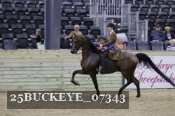 25BUCKEYE_07343 thumbnail