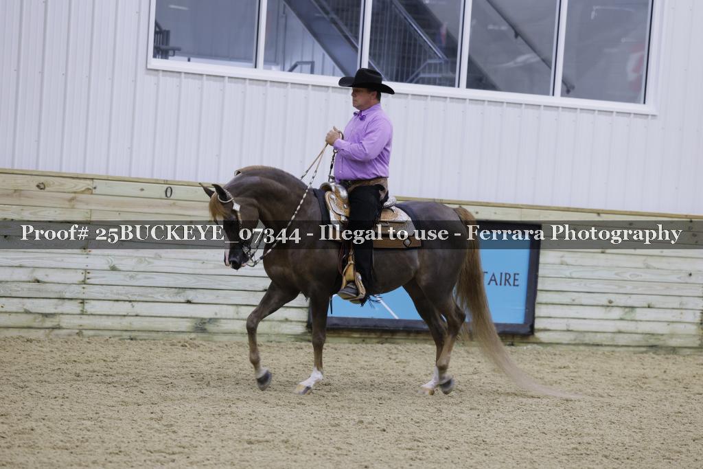 Proof Number 25BUCKEYE_07344