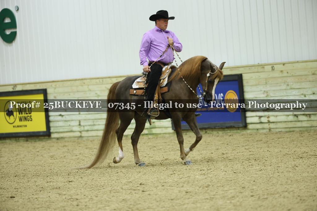 Proof Number 25BUCKEYE_07345