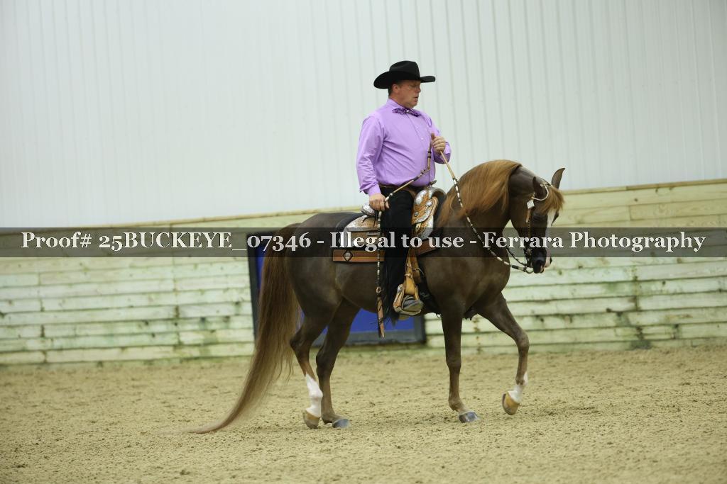 Proof Number 25BUCKEYE_07346
