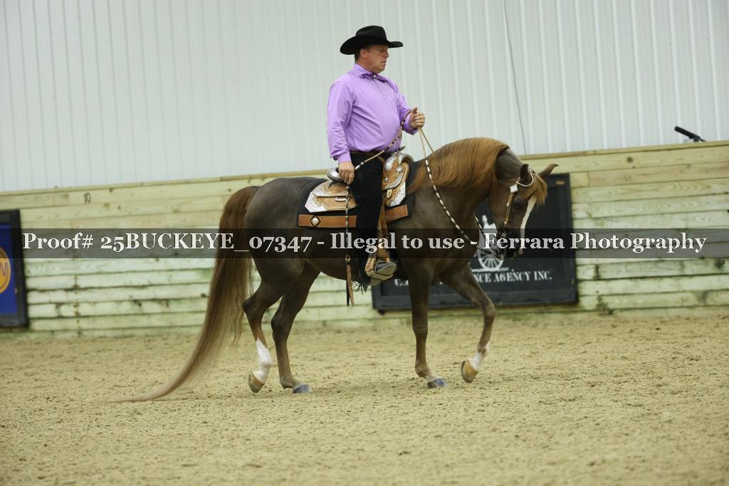 Proof Number 25BUCKEYE_07347