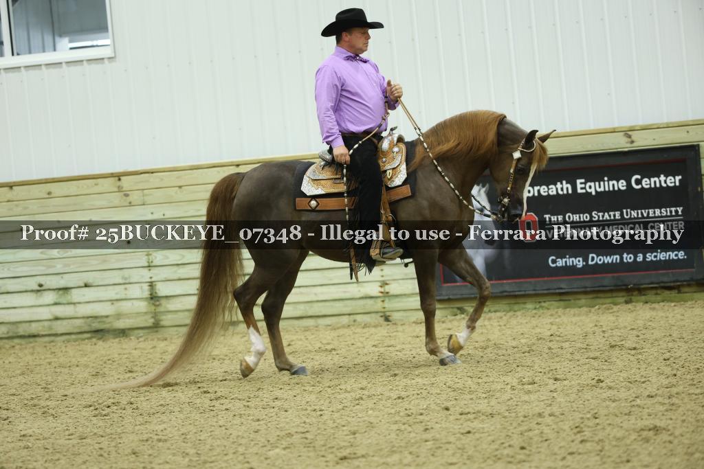 Proof Number 25BUCKEYE_07348