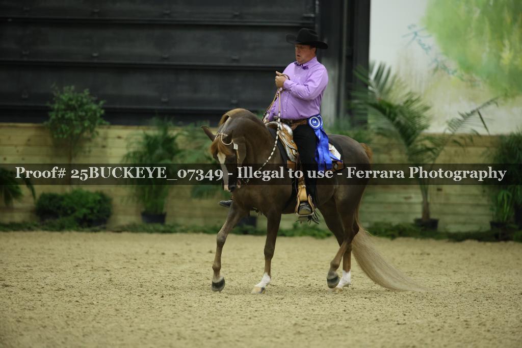 Proof Number 25BUCKEYE_07349