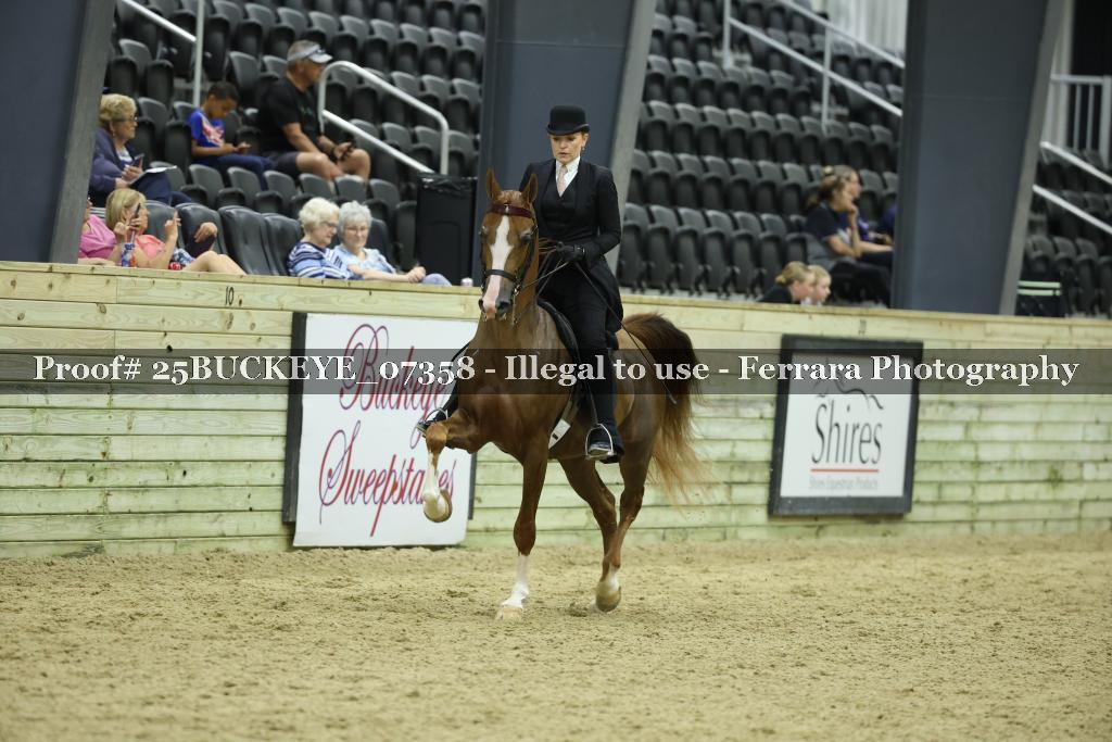 Proof Number 25BUCKEYE_07358