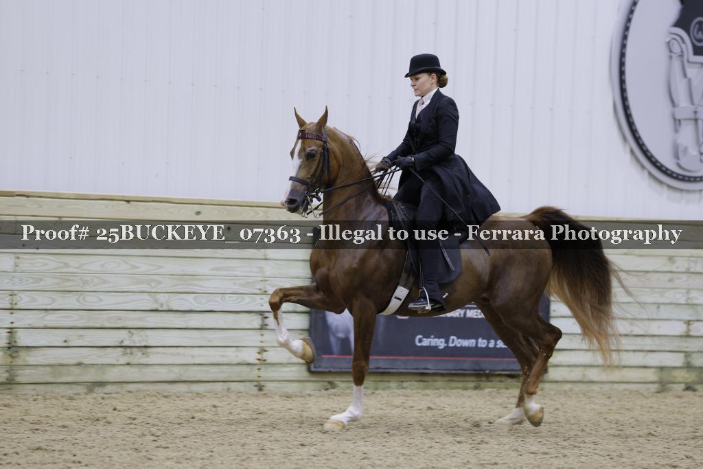 Proof Number 25BUCKEYE_07363