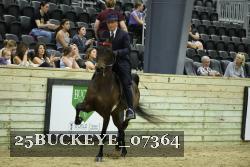 25BUCKEYE_07364 thumbnail