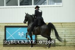 25BUCKEYE_07368 thumbnail