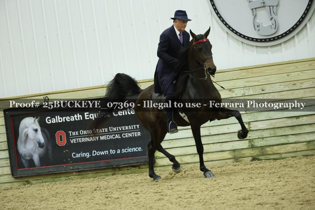 Proof Number 25BUCKEYE_07369