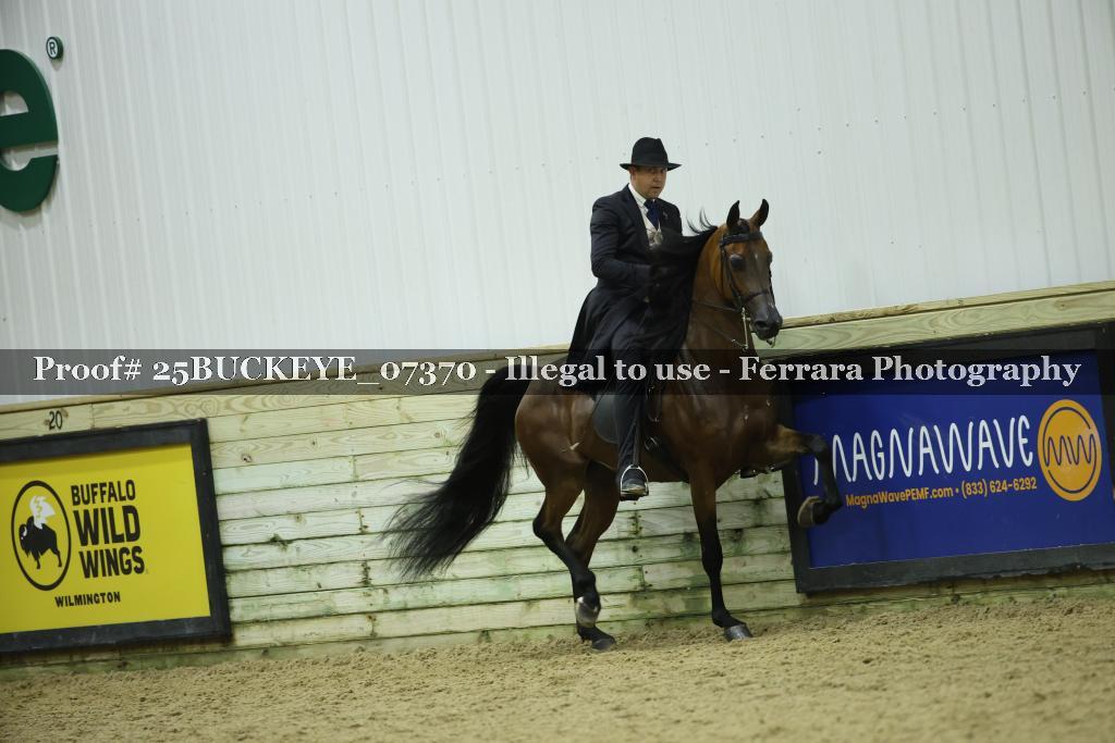 Proof Number 25BUCKEYE_07370