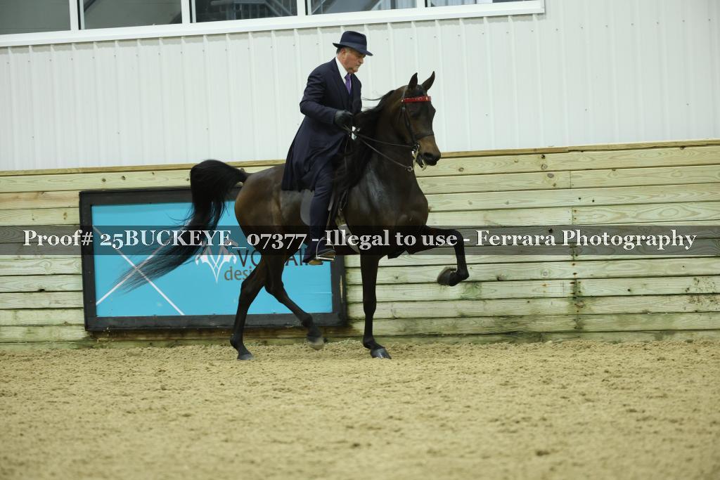 Proof Number 25BUCKEYE_07377