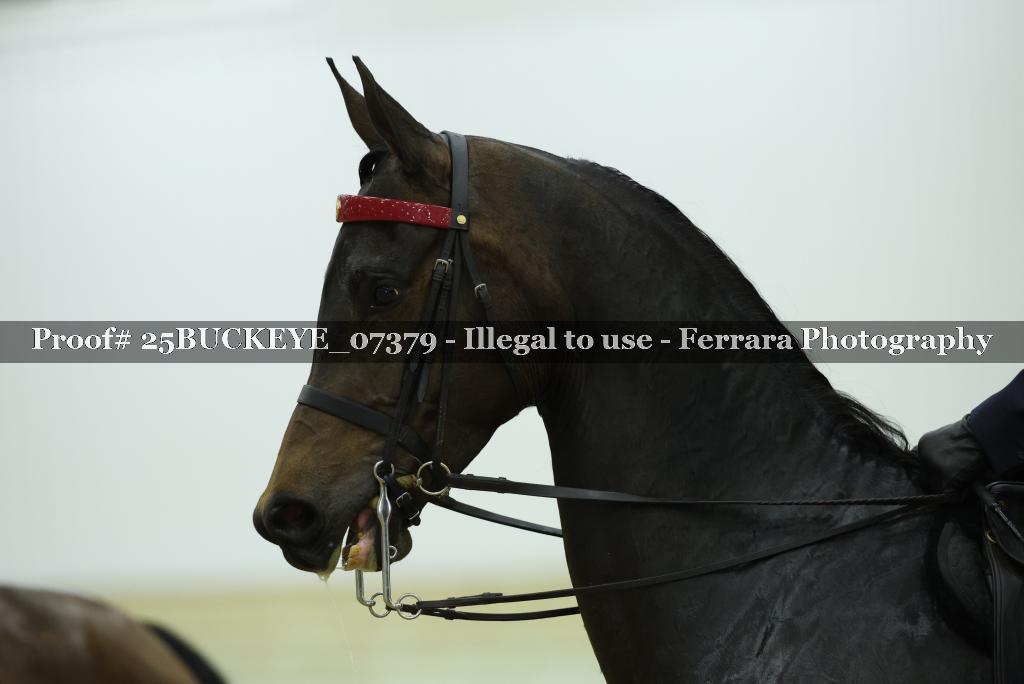Proof Number 25BUCKEYE_07379