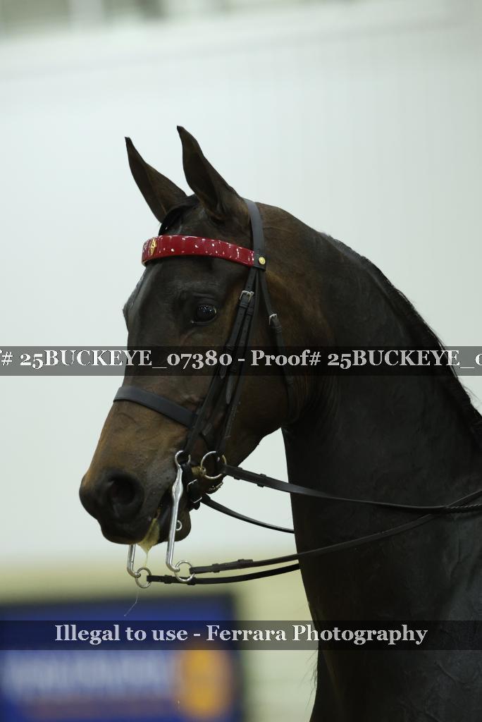 Proof Number 25BUCKEYE_07380