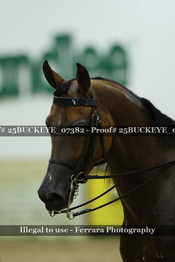 Proof Number 25BUCKEYE_07382