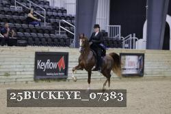 25BUCKEYE_07383 thumbnail