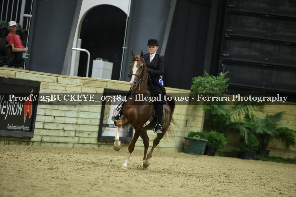 Proof Number 25BUCKEYE_07384
