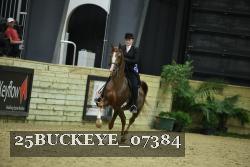 25BUCKEYE_07384 thumbnail
