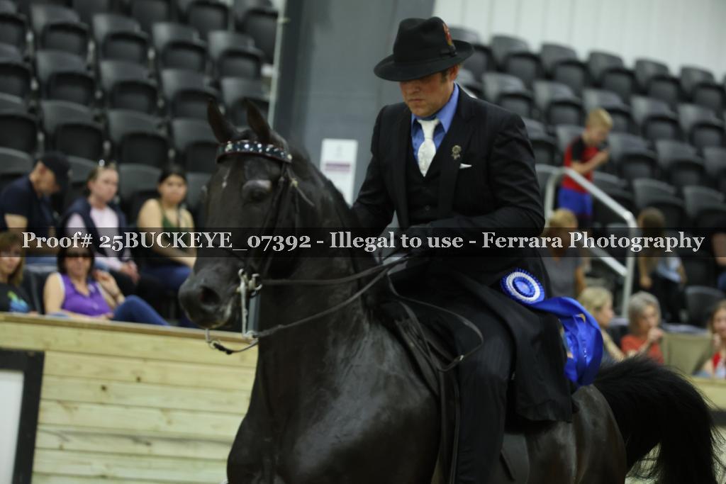 Proof Number 25BUCKEYE_07392