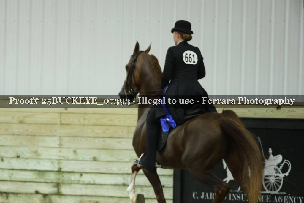 Proof Number 25BUCKEYE_07393