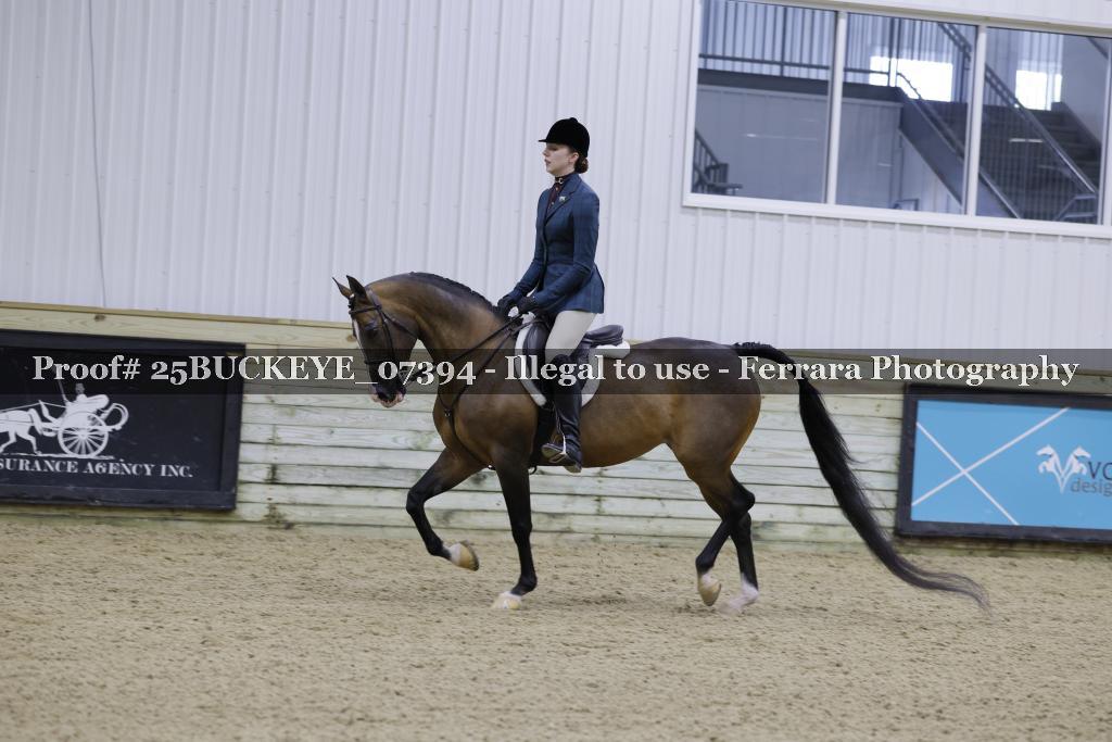 Proof Number 25BUCKEYE_07394