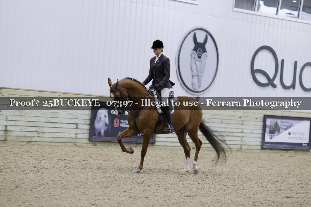 Proof Number 25BUCKEYE_07397