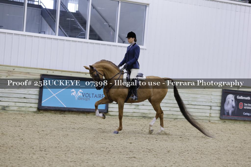 Proof Number 25BUCKEYE_07398