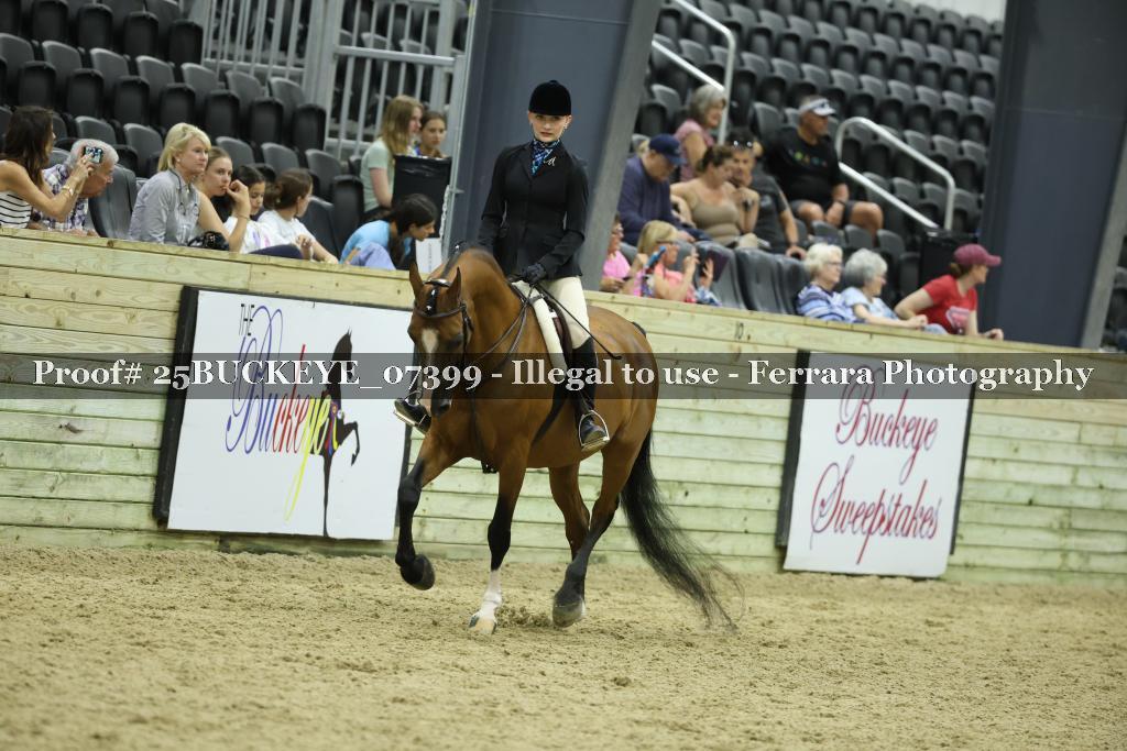 Proof Number 25BUCKEYE_07399