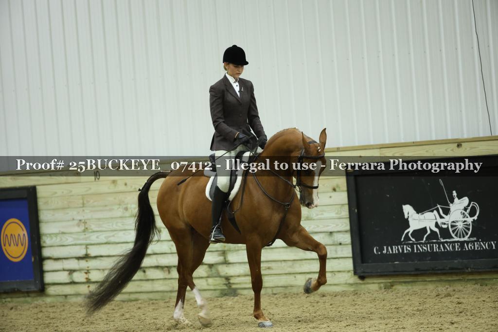 Proof Number 25BUCKEYE_07412