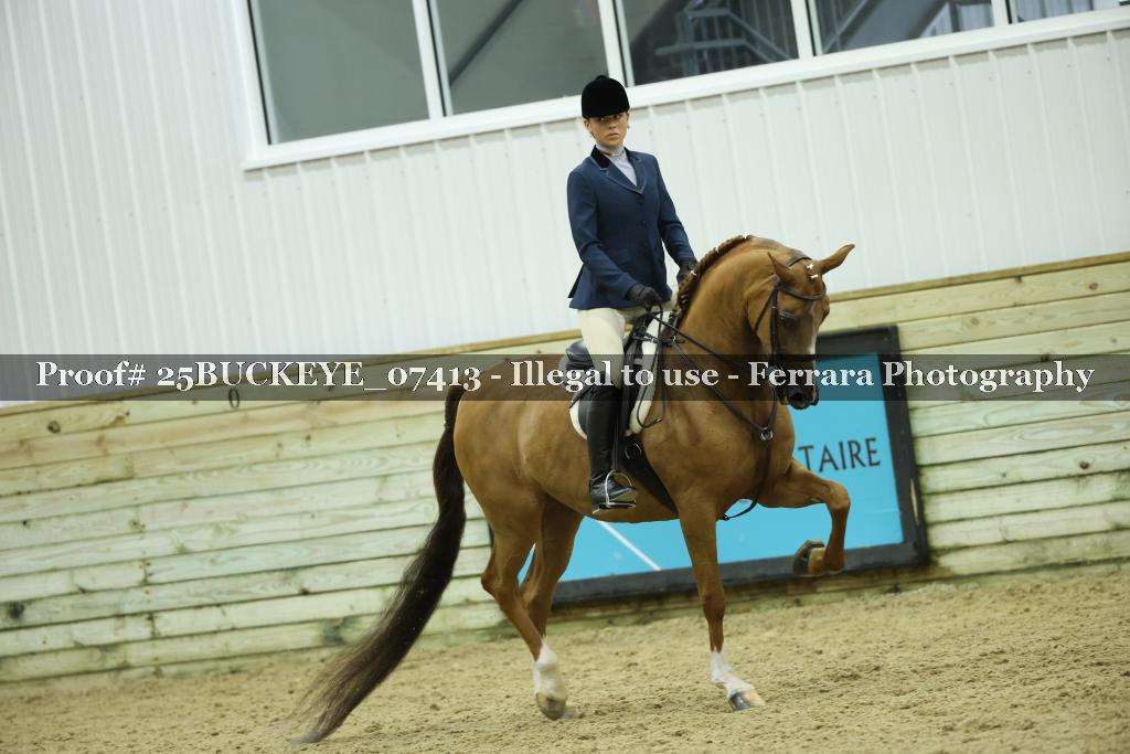Proof Number 25BUCKEYE_07413