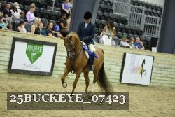 25BUCKEYE_07423 thumbnail