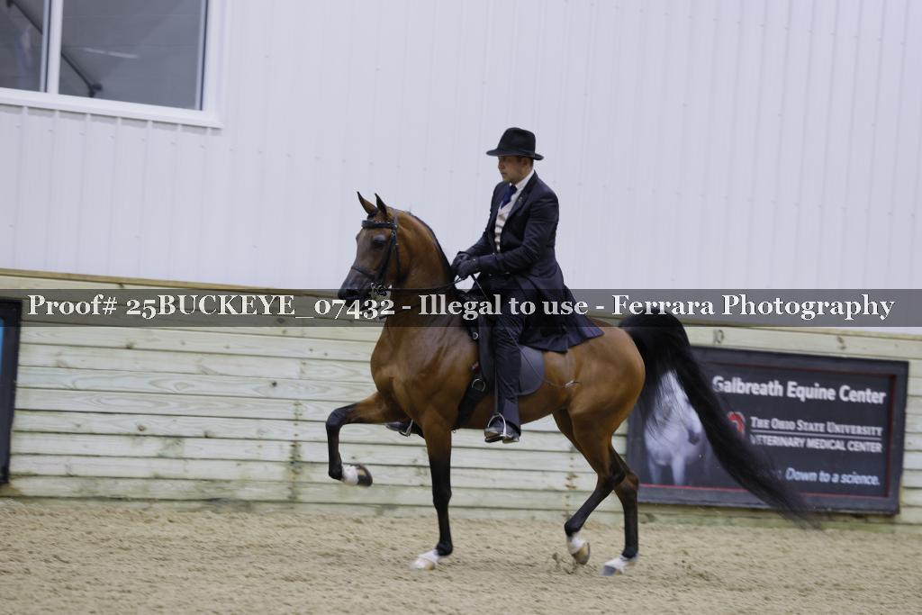 Proof Number 25BUCKEYE_07432