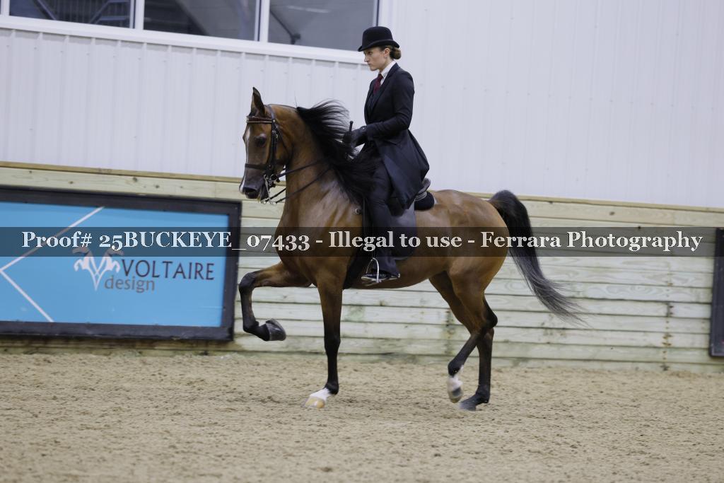 Proof Number 25BUCKEYE_07433