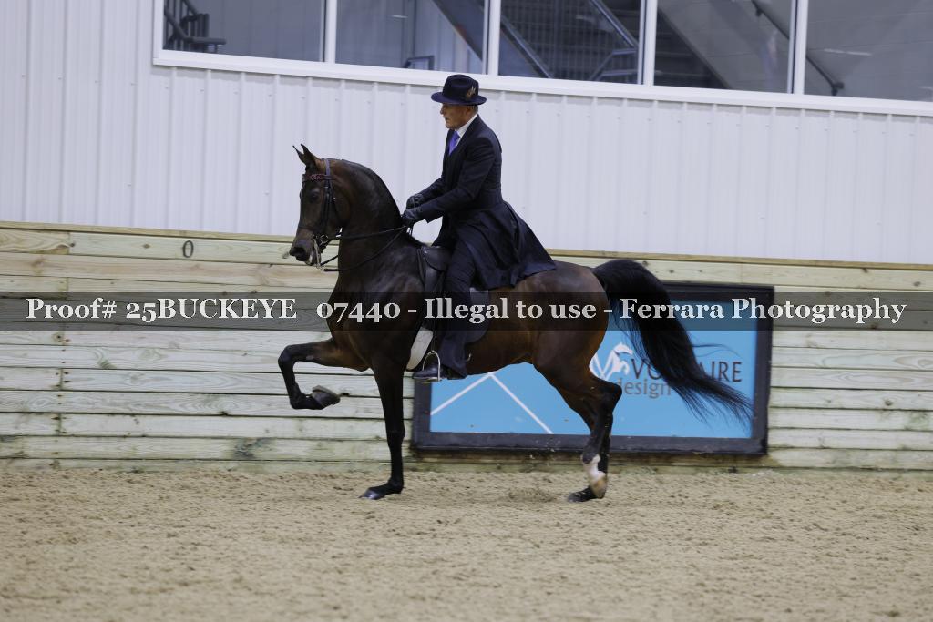 Proof Number 25BUCKEYE_07440