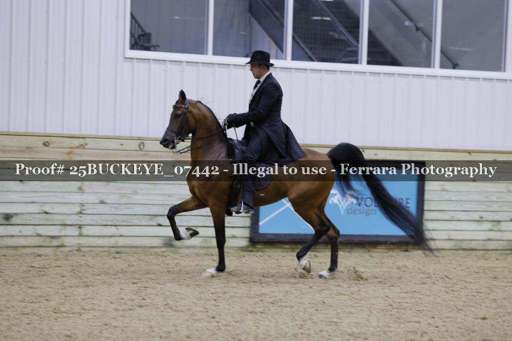 Proof Number 25BUCKEYE_07442