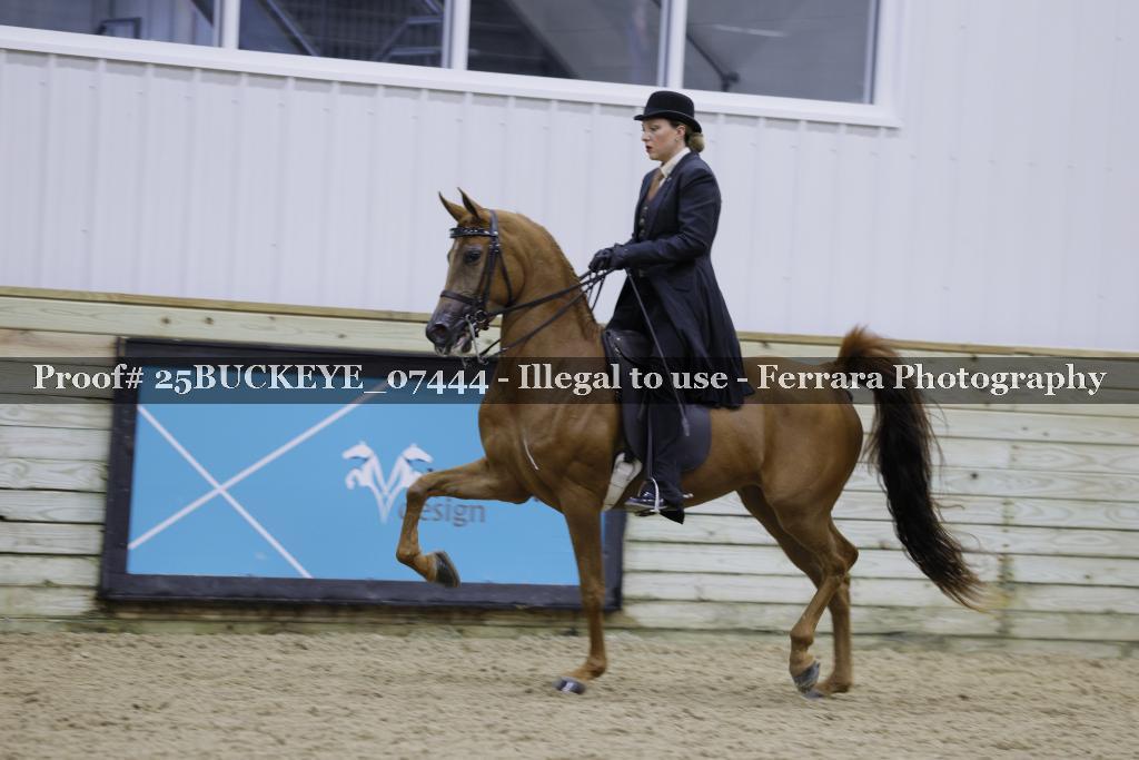 Proof Number 25BUCKEYE_07444
