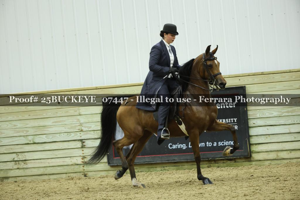 Proof Number 25BUCKEYE_07447