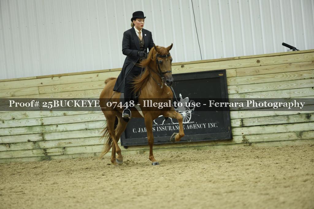 Proof Number 25BUCKEYE_07448