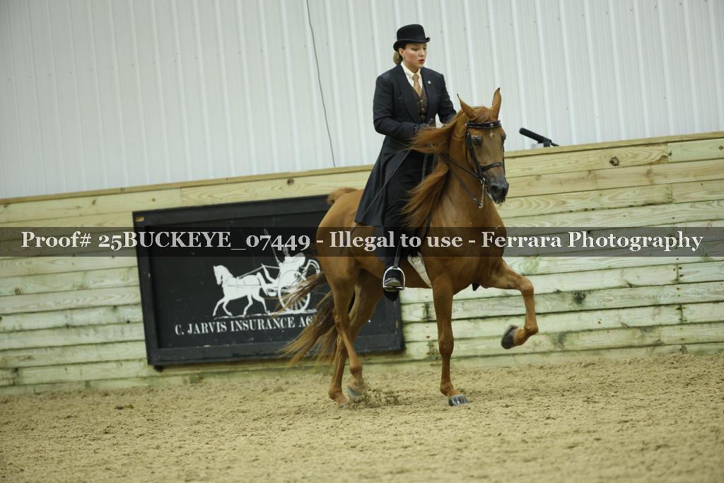 Proof Number 25BUCKEYE_07449