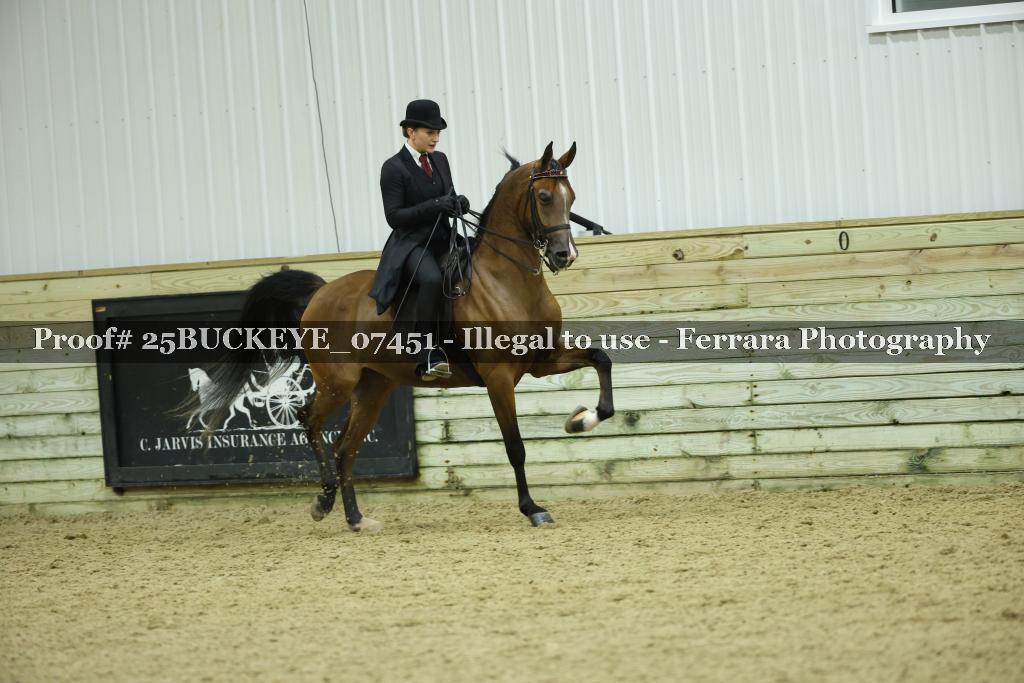 Proof Number 25BUCKEYE_07451