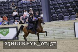25BUCKEYE_07457 thumbnail