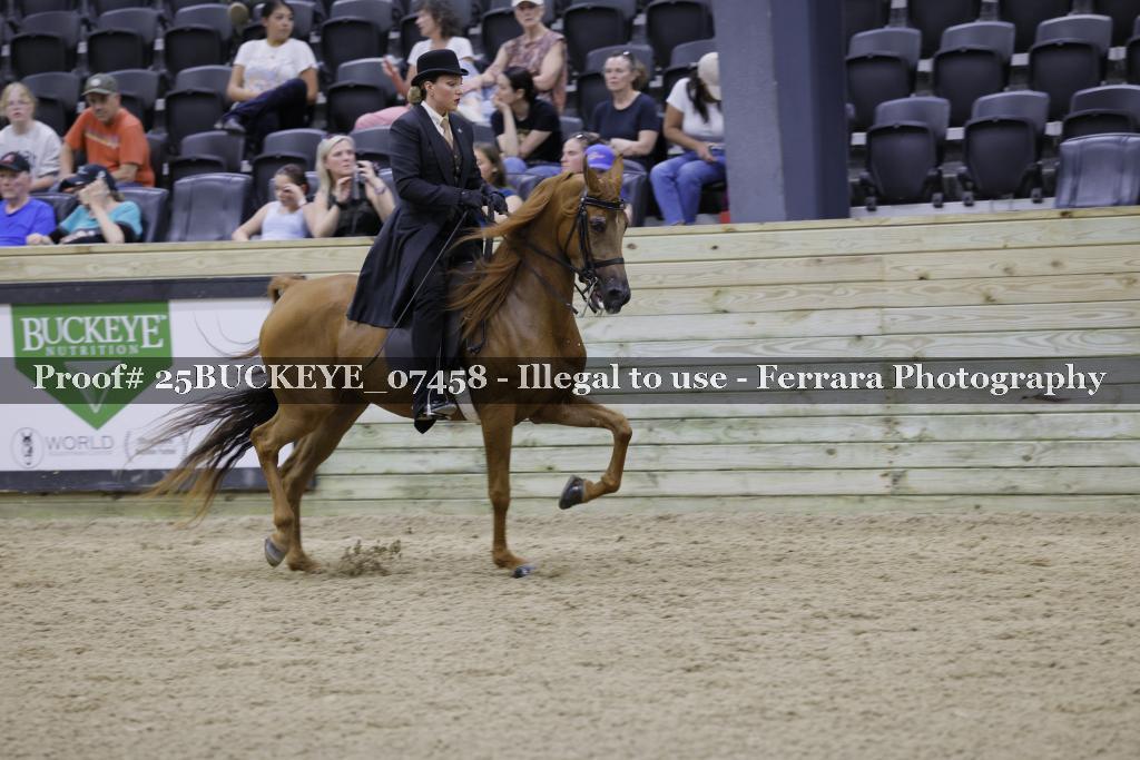 Proof Number 25BUCKEYE_07458