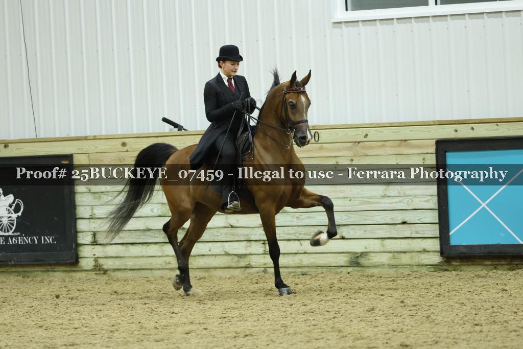 Proof Number 25BUCKEYE_07459