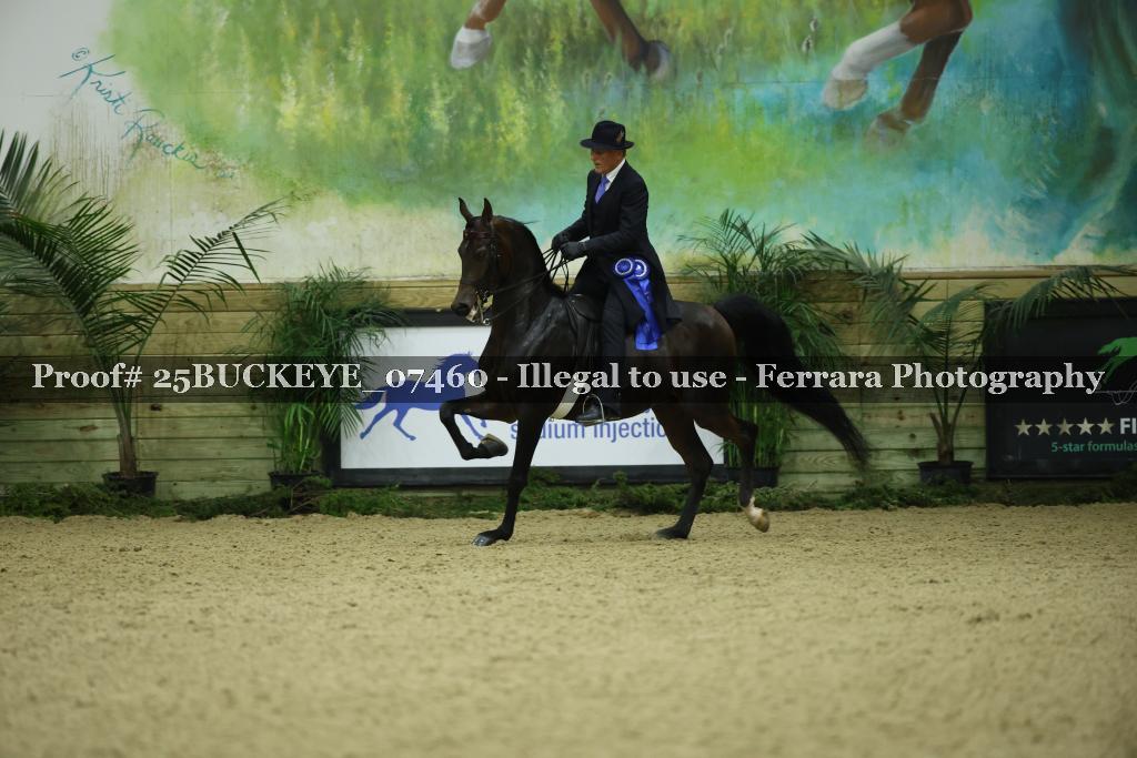 Proof Number 25BUCKEYE_07460