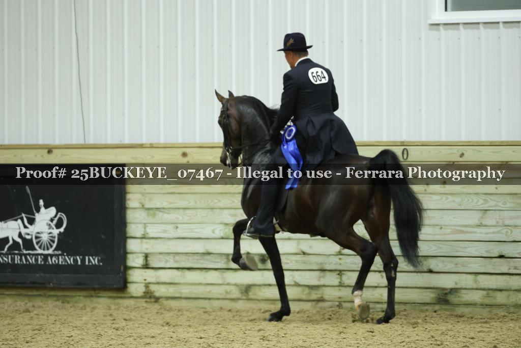 Proof Number 25BUCKEYE_07467