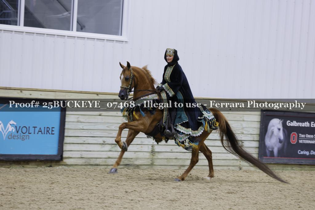 Proof Number 25BUCKEYE_07468