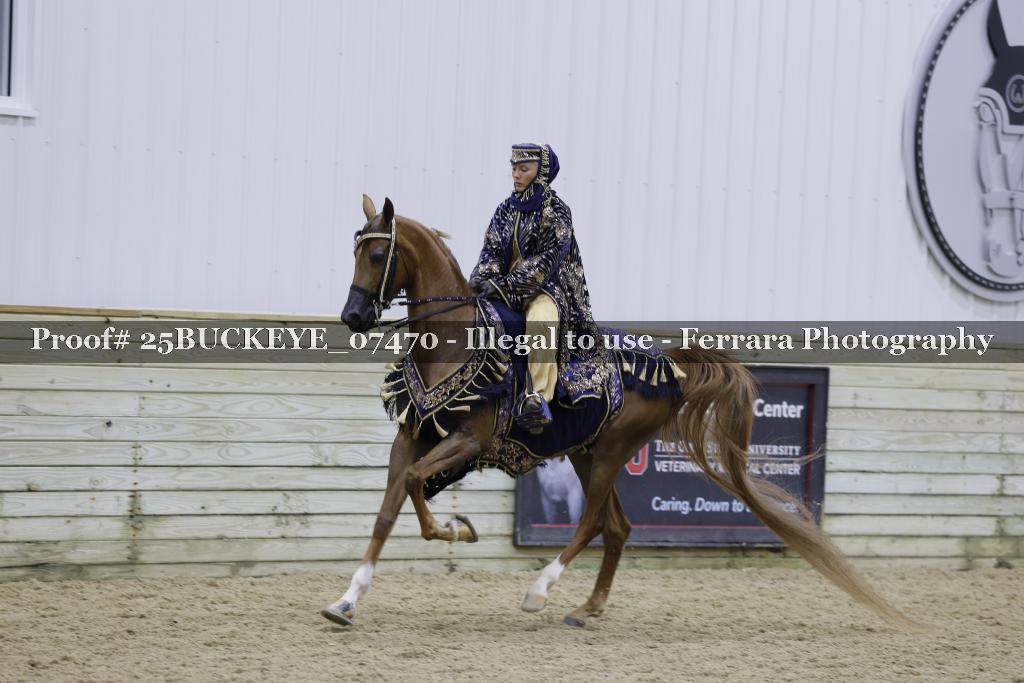 Proof Number 25BUCKEYE_07470