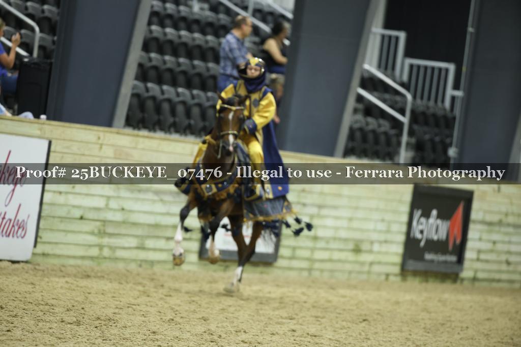 Proof Number 25BUCKEYE_07476