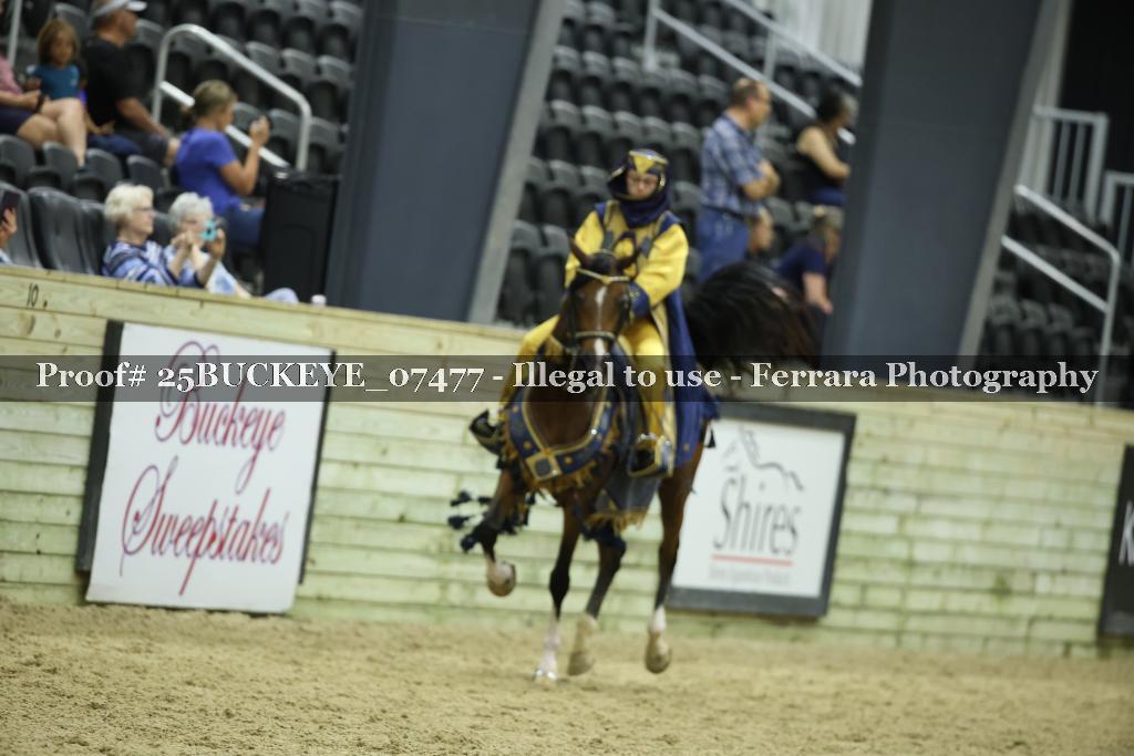 Proof Number 25BUCKEYE_07477
